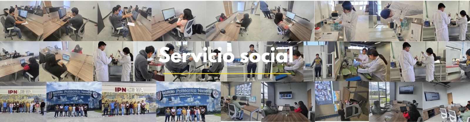 Servicio social CIITA Puebla